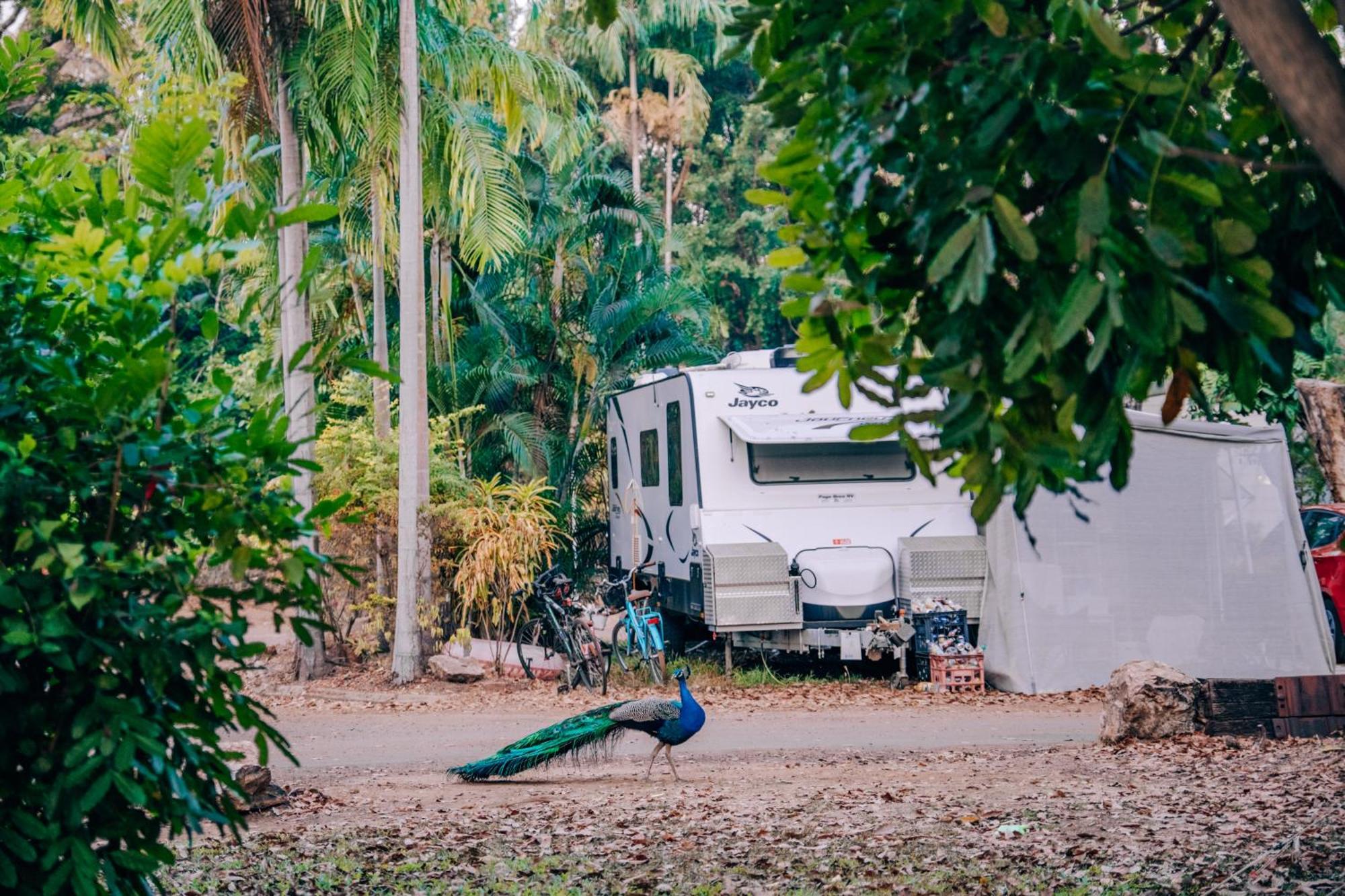 BIG4 Howard Springs Holiday Park Darwin Zewnętrze zdjęcie